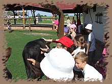 dscf8323.jpg