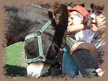 dscf8324.jpg