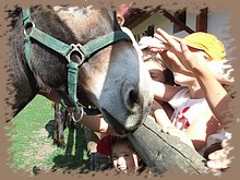 dscf8325.jpg