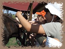 dscf8326.jpg