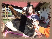 dscf8327.jpg