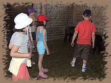 dscf8328.jpg