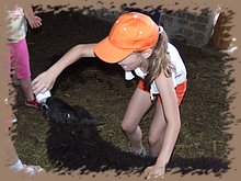 dscf8331.jpg