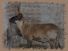 dscf8333.jpg