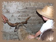 dscf8335.jpg