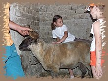 dscf8338.jpg