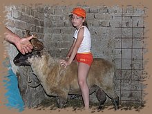 dscf8339.jpg