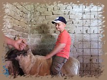 dscf8343.jpg