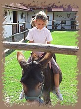 dscf8345.jpg