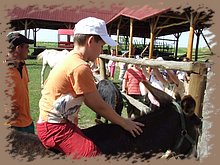dscf8346.jpg