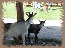dscf8348.jpg