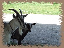 dscf8349.jpg