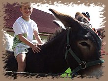dscf8354.jpg