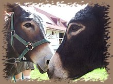 dscf8355.jpg
