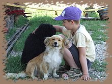dscf8359.jpg