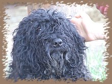 dscf8365.jpg