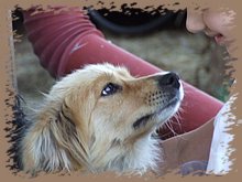 dscf8366.jpg