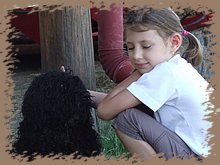 dscf8368.jpg