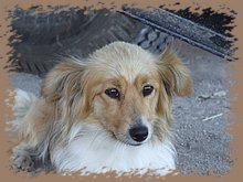 dscf8369.jpg