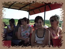 dscf8378.jpg