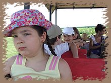 dscf8379.jpg