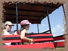 dscf8383.jpg