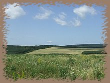 dscf8392.jpg