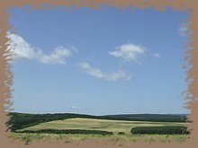 dscf8398.jpg