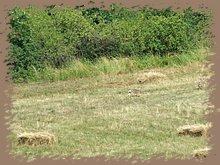dscf8402.jpg