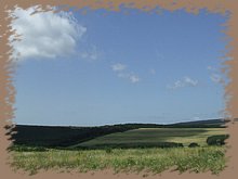 dscf8410.jpg