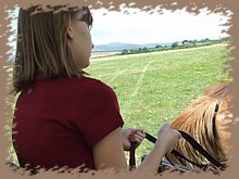 dscf8433.jpg