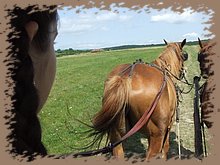 dscf8441.jpg