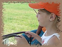dscf8444.jpg