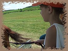 dscf8446.jpg