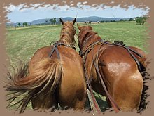dscf8480.jpg