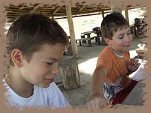dscf8517.jpg