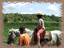 dscf8524.jpg