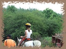 dscf8553.jpg