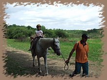 dscf8558.jpg