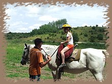 dscf8559.jpg