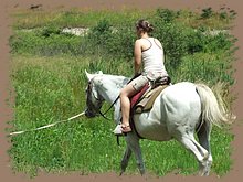 dscf8567.jpg