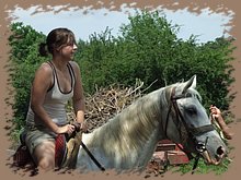 dscf8568.jpg