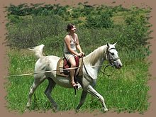 dscf8569.jpg