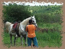 dscf8576.jpg