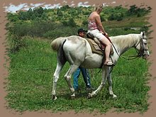 dscf8581.jpg