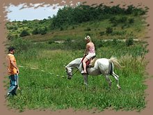 dscf8582.jpg
