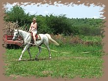 dscf8583.jpg