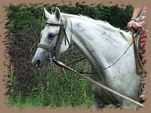dscf8590.jpg