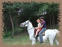 dscf8594.jpg