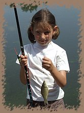 dscf8602.jpg